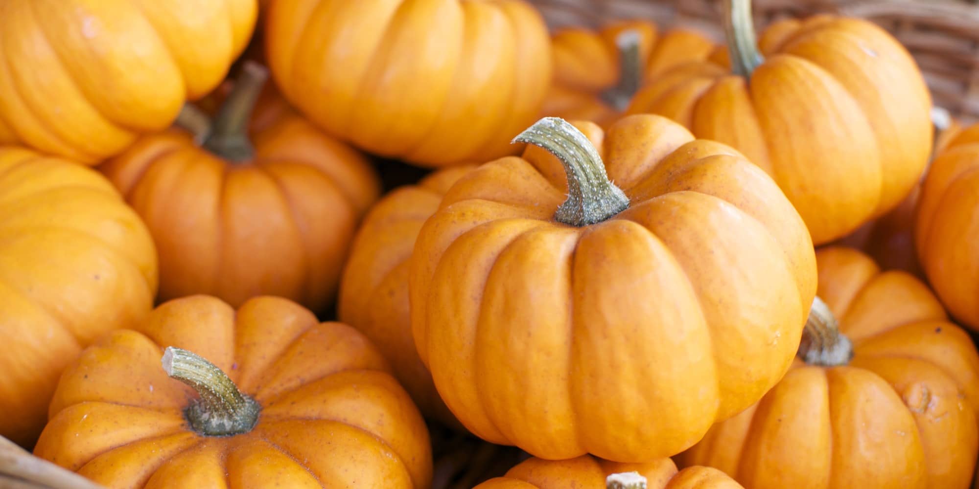  Is It Safe To Eat Pumpkins During Pregnancy! Eat Pumpkin, Pregnancy, Pumpkin, La-TeluguStop.com