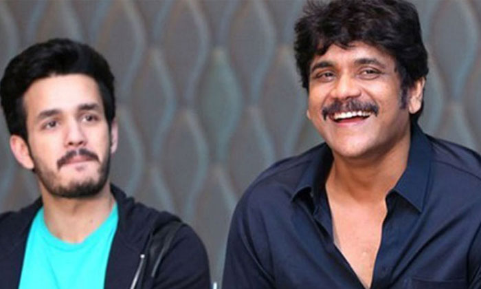  Akhil And Nagarjuna Multi Starer Movie With Anil, Tollywood, Telugu Cinema, Sout-TeluguStop.com