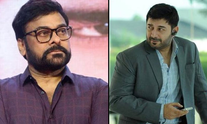  Arvind Swamy To Play The Villain Role In Acharya?-TeluguStop.com