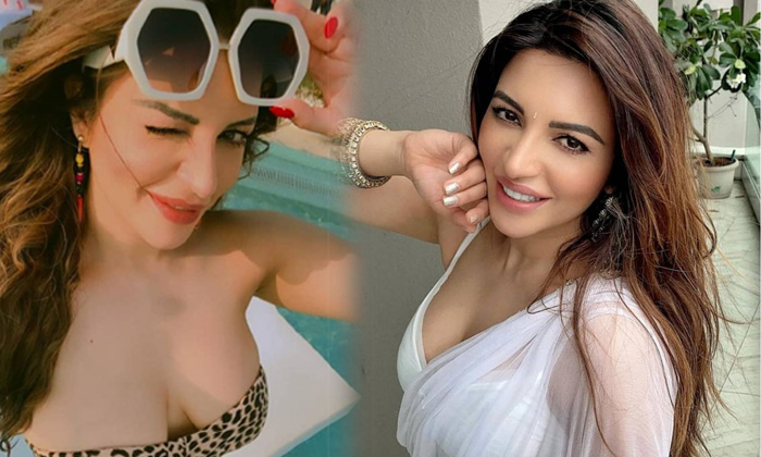 Bollywood Spicy Beauty Shama Sikander Latest Hot Images-telugu Actress Photos Bollywood Spicy Beauty Shama Sikander Late High Resolution Photo