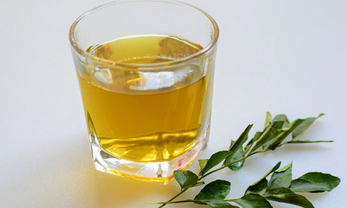  Curry Leaves Tea Helps To Reduce Bad Cholesterol! Curry Leaves Tea, Bad Choleste-TeluguStop.com