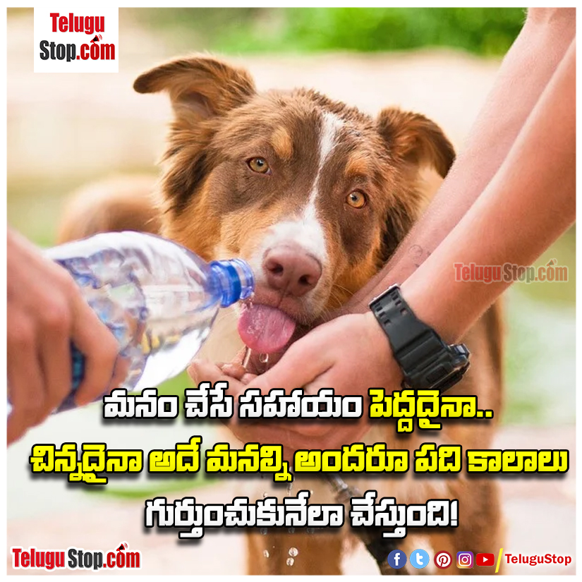 Helping quotes in telugu Inspirational Quote