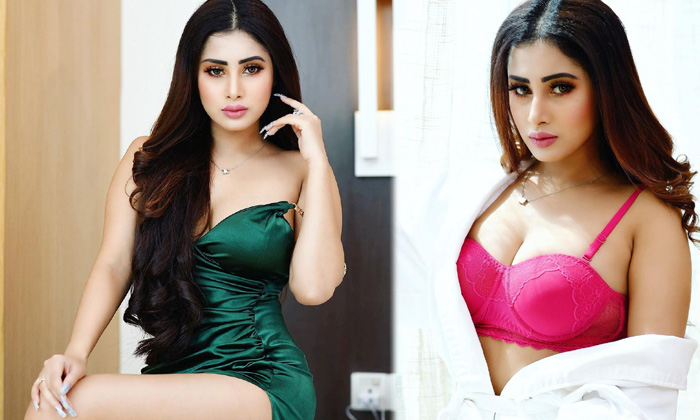 Hot Model Jiya Roy Spicy Stills-telugu Actress Photos Hot Model Jiya Roy Spicy Stills - Bikini Hd Pics High Resolution Photo