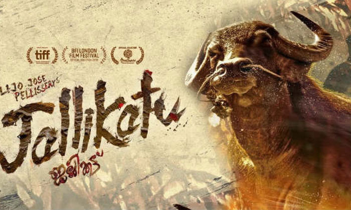  Malayalam Movie Jallikattu : India Official Entry To Oscar 2021.-TeluguStop.com