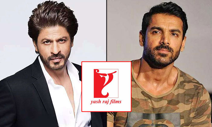 John Abraham Charges A Whopping 20 Crores For Shah Rukh, Bollywood, Indian Cinem-TeluguStop.com