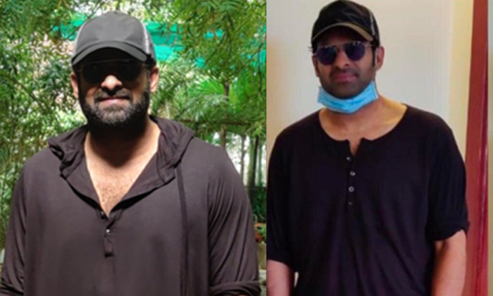  Viral Photo: Rebel Star Prabhas Lost Weight For Adipurush.-TeluguStop.com