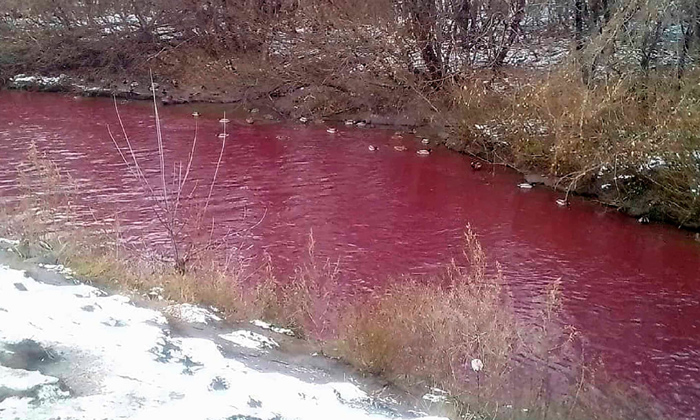  River In Russia Changed To Red Color, Locals Horrified, Social Media, Toxic Wate-TeluguStop.com