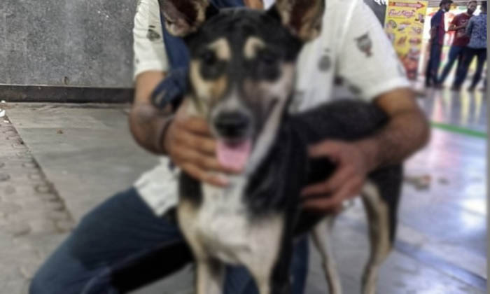  Men Brutally Raped Dog In Mumbai, Shobharaj Saroj, Mumbai Crime News, Dog Raped-TeluguStop.com