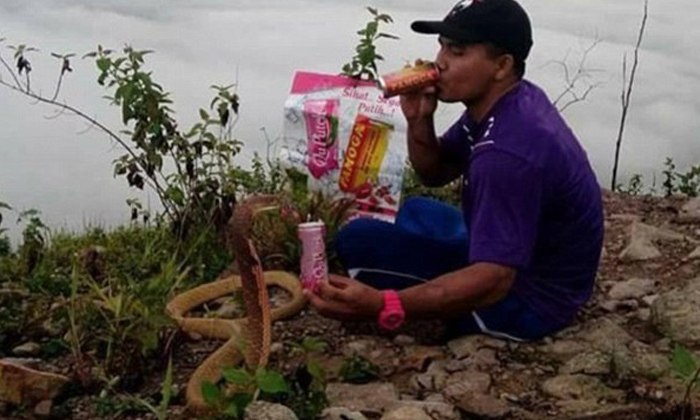  Heartbroken Man Married Pet Snake In Thailand, Pet Snake, Lover, Marriage, Thail-TeluguStop.com