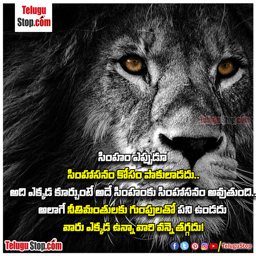 The superiority of the righteous quotes in telugu Inspirational Quote