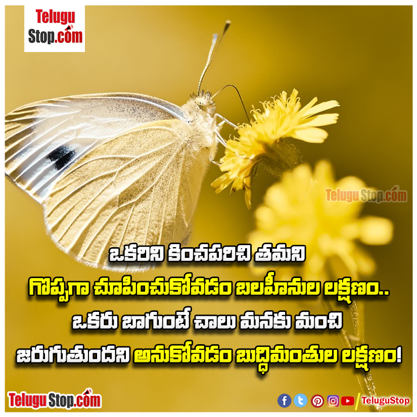 The wise are weak quotes in telugu Inspirational Quote