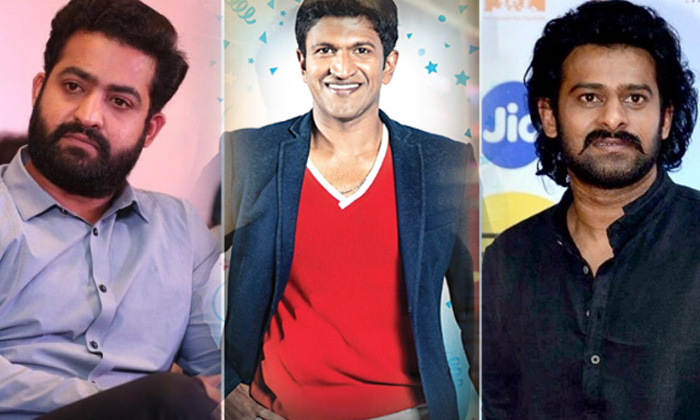  Three Stars Heroes Ready To Work With Prashanth Neel, Tollywood, Telugu Cinema,-TeluguStop.com