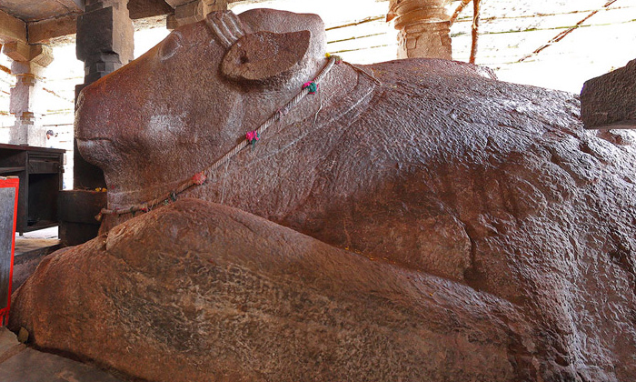  Mystery Of The Growing Nandi Yaganti Uma Maheswara Swamy Temple, Nandi Growing,-TeluguStop.com