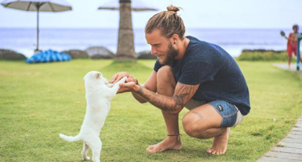 Telugu Harmful, Pet Animals, Sanitizers-Telugu Health