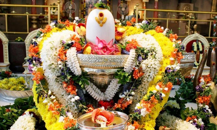  Benefits Of Worshiping, Shivalingam, Rudra Parayanam, Karthika Masam, Hindu Beli-TeluguStop.com