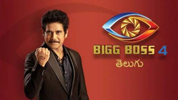  Bigg Boss Show Final Episode Date Fixed,bigg Boss 4, December 20, Final Episode-TeluguStop.com