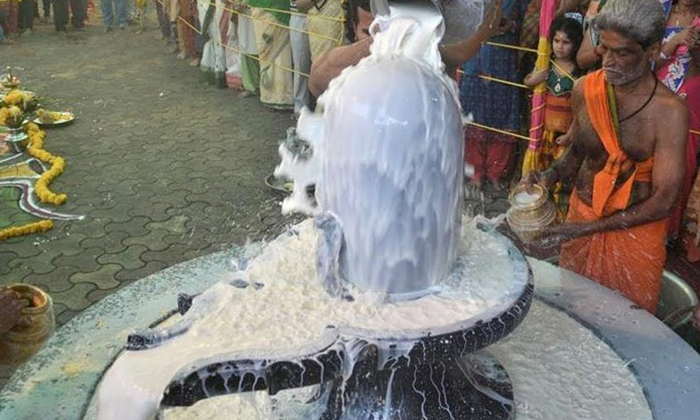  Did You Know What Is The Speciality Of A Milk In Lord Shiva Abhishekam Lord Shiv-TeluguStop.com