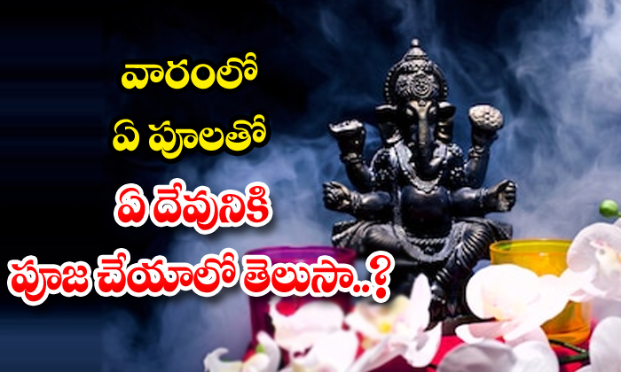  Gods, Flowers, Hindu Gods, Hindu Rituals, Hindu Believes, Tamalapaku, Tella Jill-TeluguStop.com