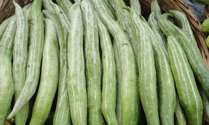 Telugu Benefitssnake, Tips, Latest, Snake Gourd-Telugu Health - తెలుగ�