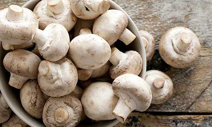  What Happens If You Eat Mushrooms In Winter?, Mushrooms, Mushrooms Health Benefi-TeluguStop.com