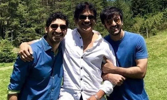  Nagarjuna Bollywood Movie Brahmastra Shelved   Nagarjuna, Brahmastra, Wild Dog,-TeluguStop.com