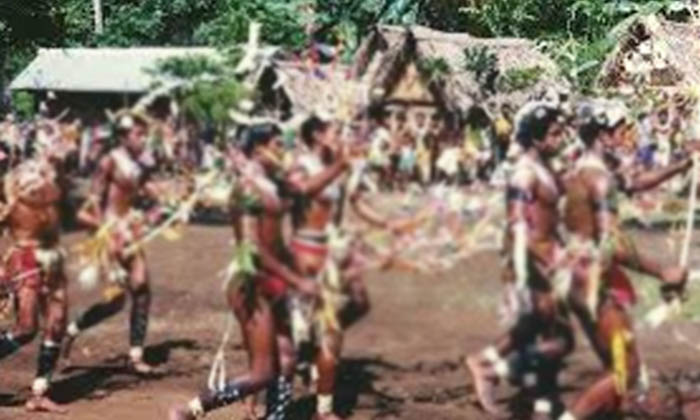  Trobriand Islands Yam Festival News, Trobriand, Trobriand Islands, Yam Festival-TeluguStop.com