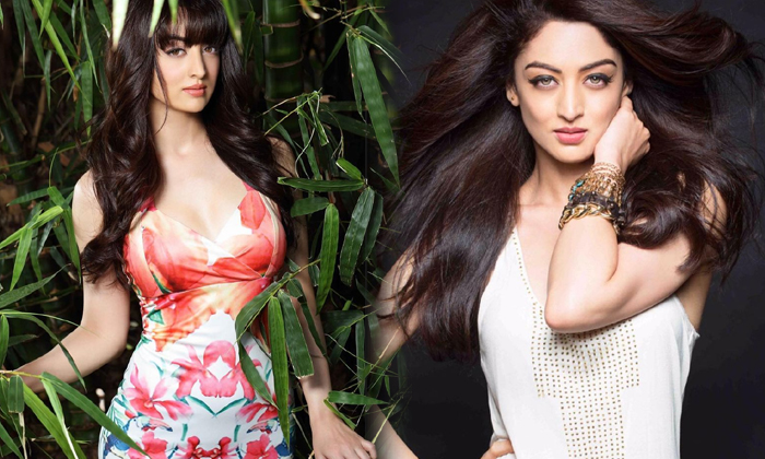 Alluring Images Of Bolltwood Actress Sandeepa Dhar-telugu Actress Photos Alluring Images Of Bolltwood Actress Sandeepa D High Resolution Photo