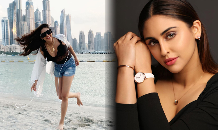 Amazing Photos Of  Krystle D Souza Prove That She Is A True Bollywood Actress At Spicy Images-telugu Actress Photos Amaz High Resolution Photo