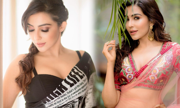 Bollywood Actress Parvati Nair Traditional Attire And Glamorous Images-telugu Actress Photos Bollywood Actress Parvati N High Resolution Photo