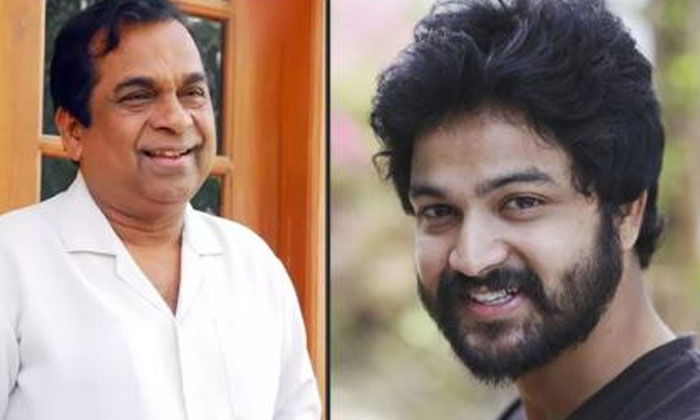  Brahmanandam Offer To Bigg Boss Sohel, Tollywood, Megastar Chiranjeevi, Bigg Bos-TeluguStop.com