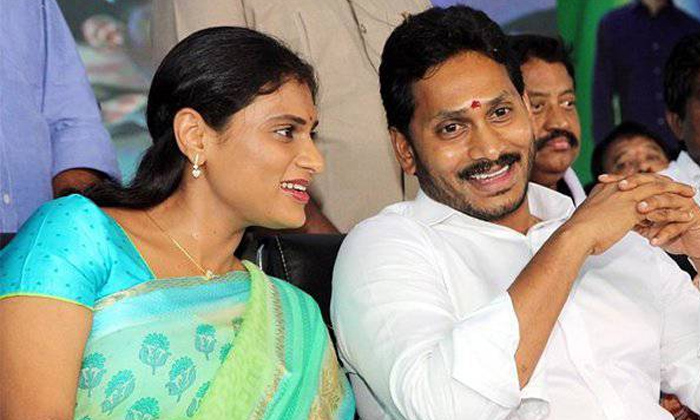  Everyone Is Interested In The Political Entry Of Jagan Younger Sister Sharmila,-TeluguStop.com