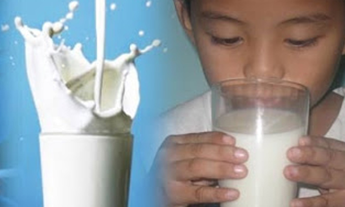  Test Milk Is Adulterated Or Not At Home, Milk, Ghee, Paneer, Adulteration , Suga-TeluguStop.com