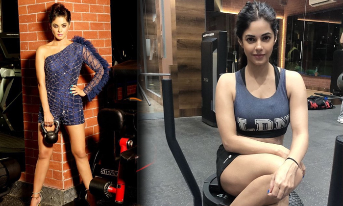 Meera Chopra Looks Super Stylish In Her Latest Gym Pic-telugu Actress Photos Meera Chopra Looks Super Stylish In Her Lat High Resolution Photo