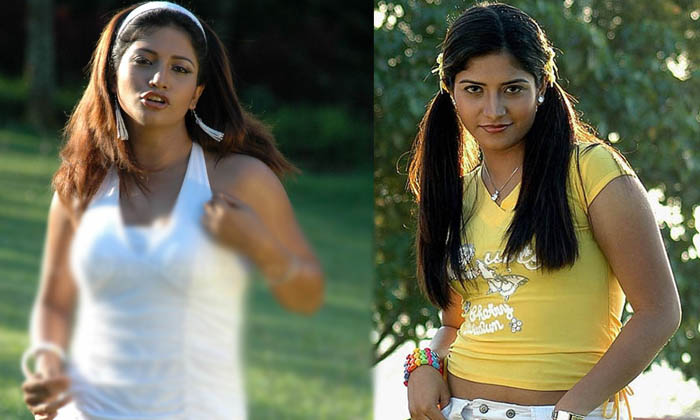  Nagamma Serial Fame Heroine Gayathri Movie Offers And Real Life News, Gayathri,-TeluguStop.com