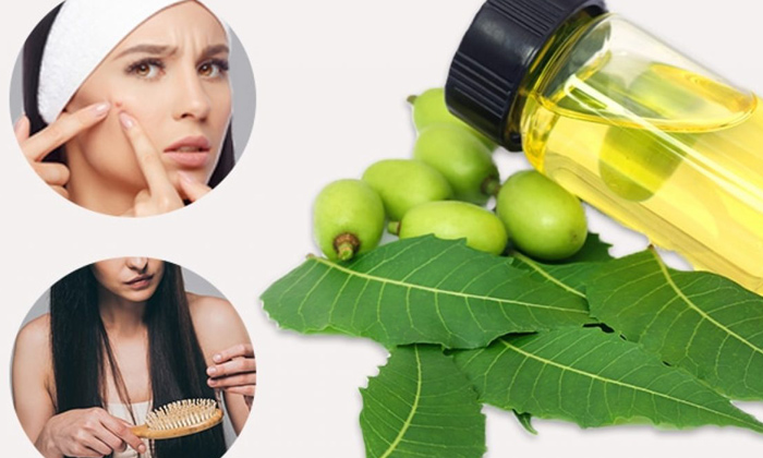 Telugu Tips, Care, Latest, Neem Oil-Telugu Health - తెలుగు హెల