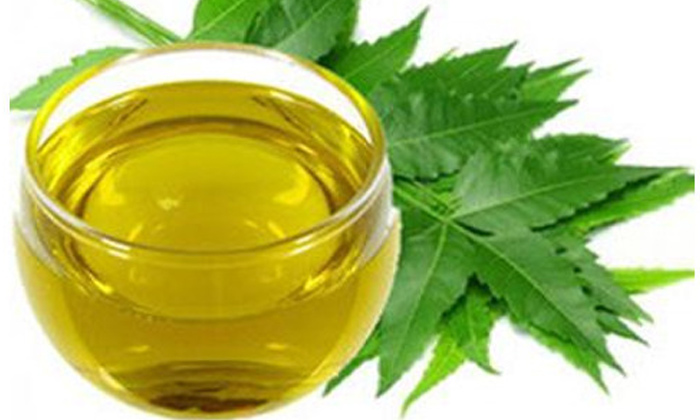  Neem Oil Can Stop Hair Loss! Neem Oil, Hair Loss, Benefits Of Neem Oil, Hair-TeluguStop.com