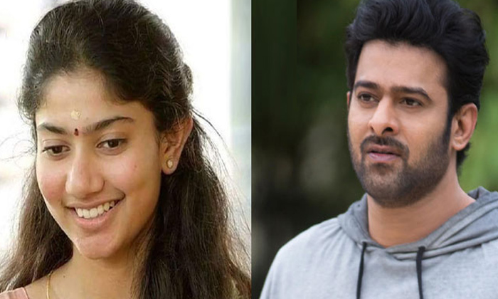  Hero Prabhas Sensational Comments About Sai Pallavi, Sai Pallavi, Salaar Movie,-TeluguStop.com