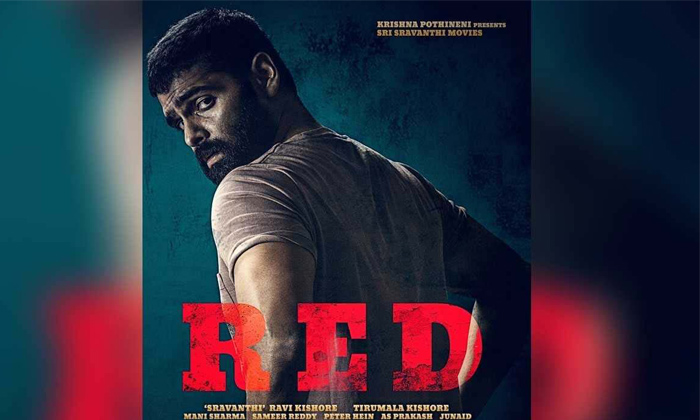  Ram’s ‘red’ Joins Sankranthi Race, Trailer On 24th December-TeluguStop.com