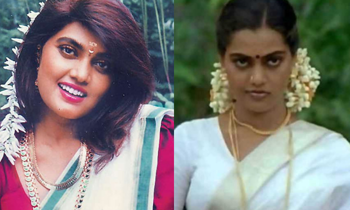 Telugu Silksmitha, Silk Smitha, Silk Smtha-Telugu Stop Exclusive Top Stories