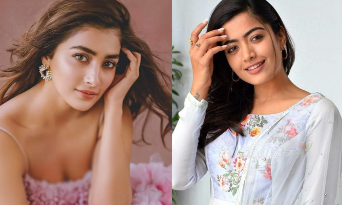 Heroine Sai Pallavi Huge Shock To Rashmika And Pooja Hegde, Sai Pallavi, Sai Pa-TeluguStop.com