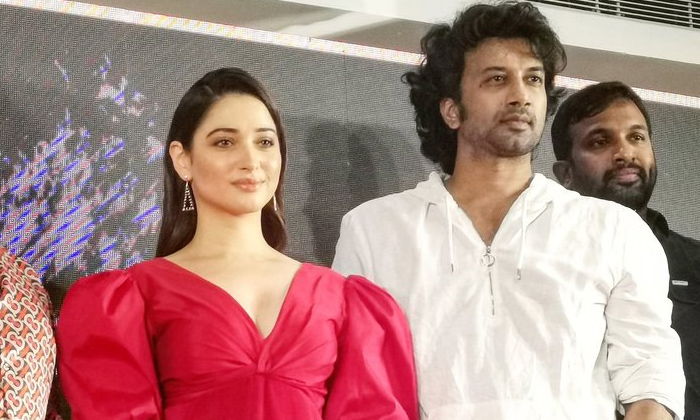  Satyadev On Tamannaah Role In Gurtunda Seethakalam, Satyadev, Tamannaah, Gurtund-TeluguStop.com