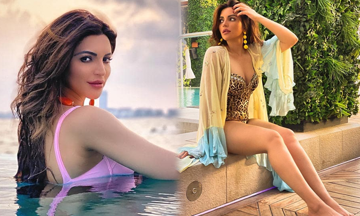 Shama Sikander Hor And Glamorous Hd Photos-telugu Actress Photos Shama Sikander Hor And Glamorous Hd Photos - Actresssha High Resolution Photo