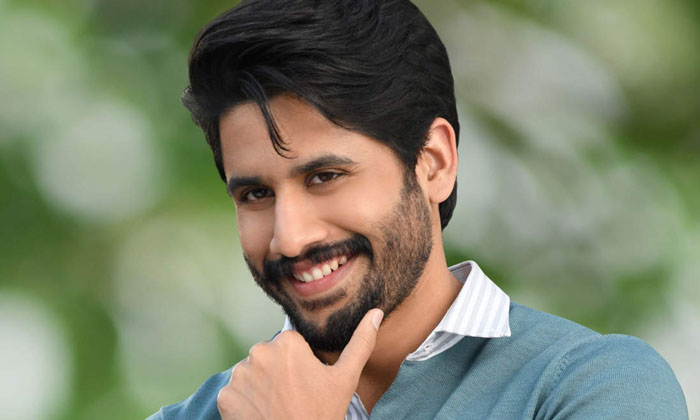  Avika Gor Romance With Naga Chaitanya, Tollywood, Telugu Cinema, Director Vikram-TeluguStop.com