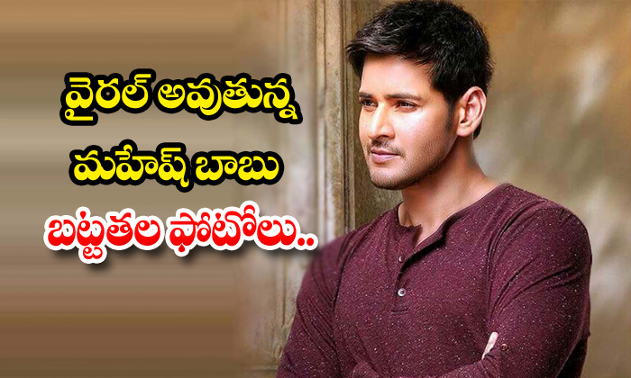 The Hair issues for Mahesh and Prabhas  Great Telangaana  English The Hair  issues for Mahesh and Prabhas