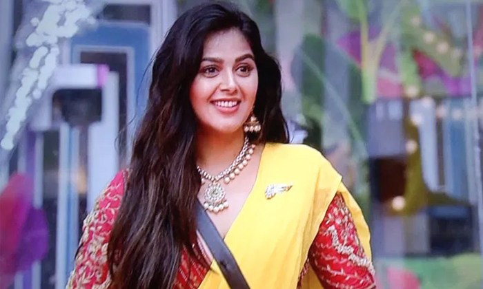  Bigg Boss Contestant Monal Supports Another Contestant Akhil,bigg Boss Contestan-TeluguStop.com