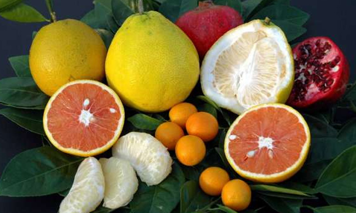  These Fruits Definitely Eat In Winter Season! Fruits, Winter Season, Latest News-TeluguStop.com