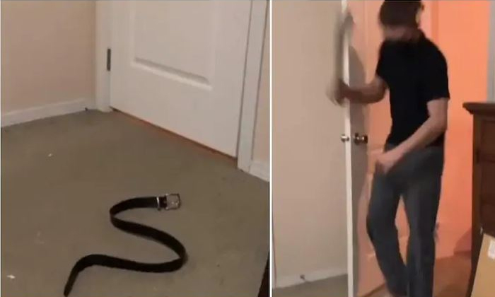  Viral Video Wife Who Threatened Her Husband, Snake, Wife And Husband, Social Med-TeluguStop.com