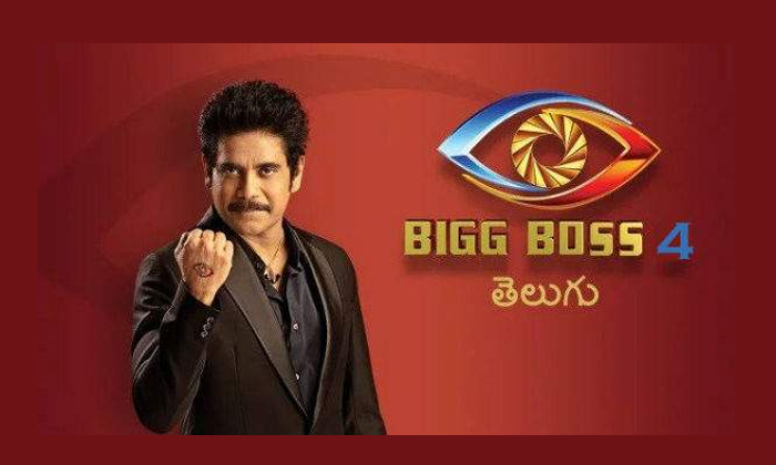  Bb4: Who Is Going To Be The Winner Of Bigg Boss Finale.-TeluguStop.com