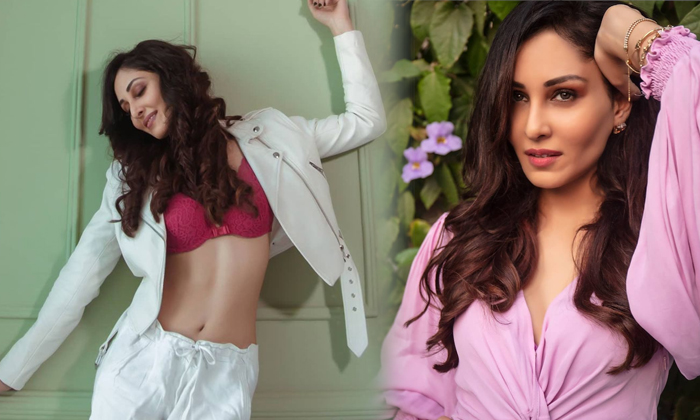 Actress Pooja Chopra Hot Look Images-telugu Actress Photos Actress Pooja Chopra Hot Look Images - Poojachopra  High Resolution Photo