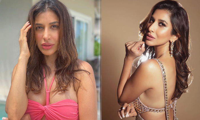 Bollywood Beauty Actress Sophie Choudry Trendy Clicks-telugu Actress Photos Bollywood Beauty Actress Sophie Choudry Tren High Resolution Photo